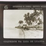 (RF 601) Colecção de Fotografias Diapositivas de Angola