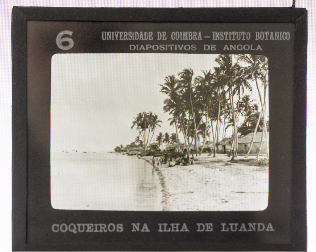 (RF 601) Colecção de Fotografias Diapositivas de Angola