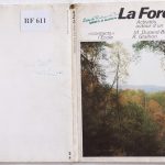 (RF 611) La Forêt