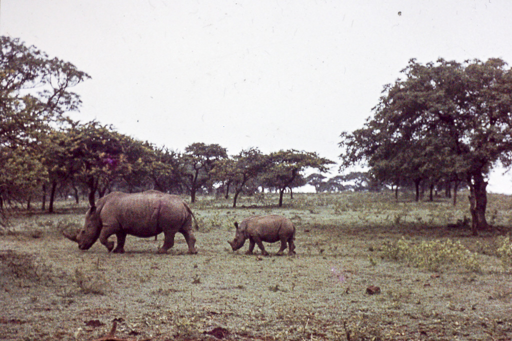 Africa Sul Rodesia_5