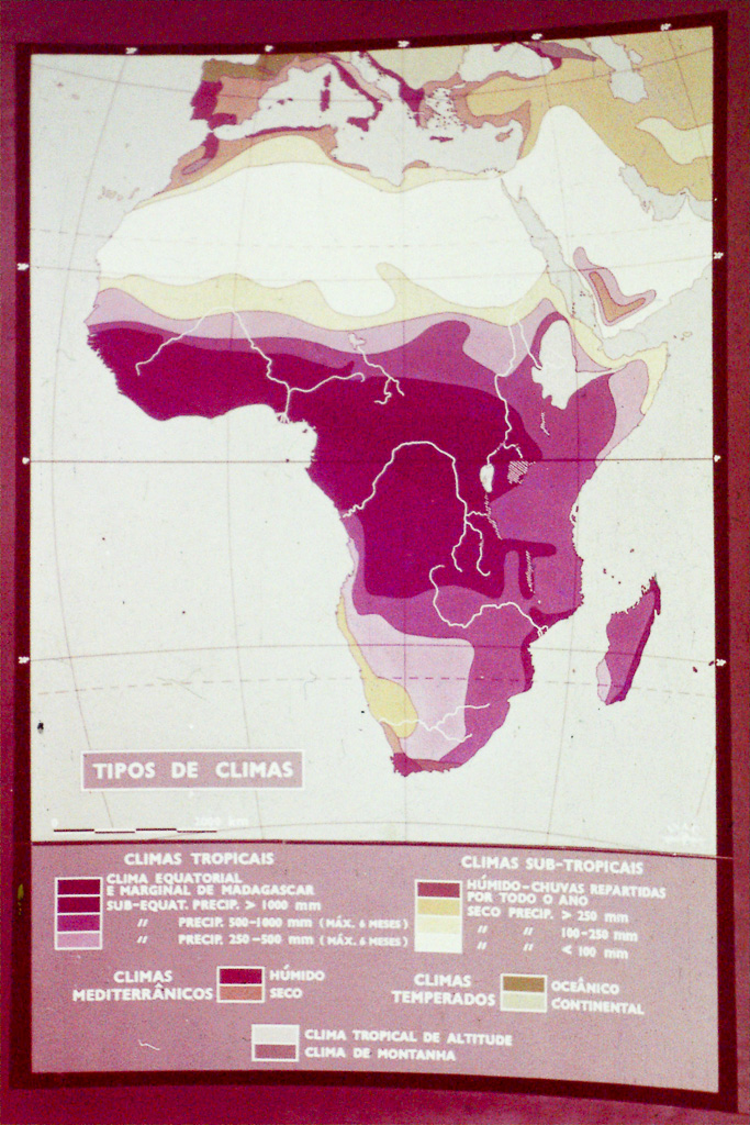 Africa_11