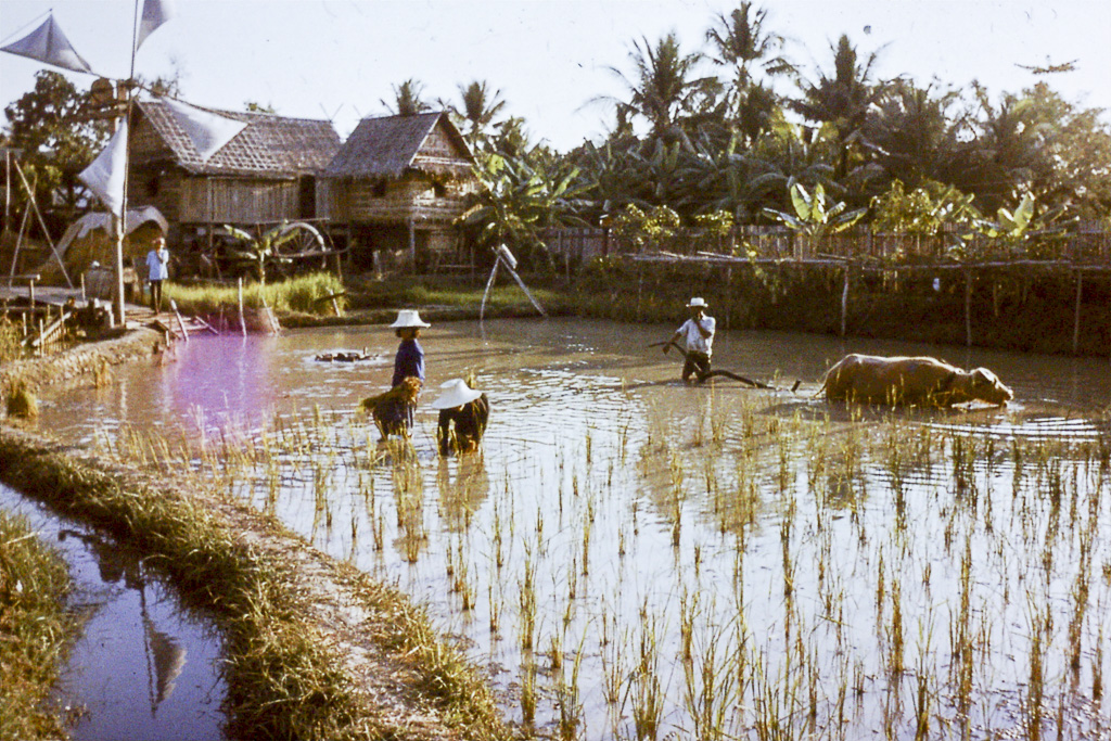 Tailandia_16