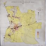 (RF 150) Distribuição da População Branca de Angola 1950