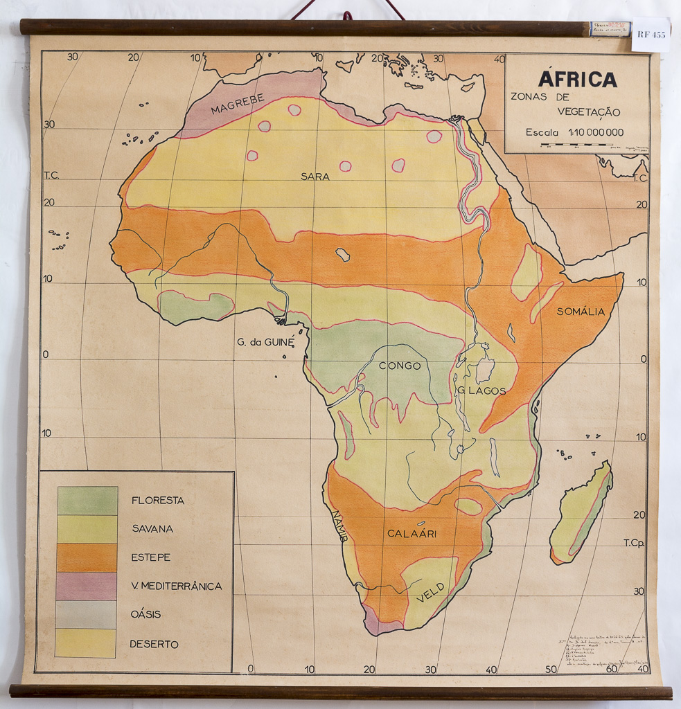 (RF 455) África Zonas de Vegetação