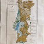 (RF 547) Carta das Nascentes Minerais de Portugal / Carta Geológica do Quaternário de Portugal / Carta Hidrogeológica de Portugal