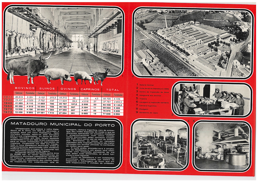 Boletim Informativo CMP 1973_1974_Page_28