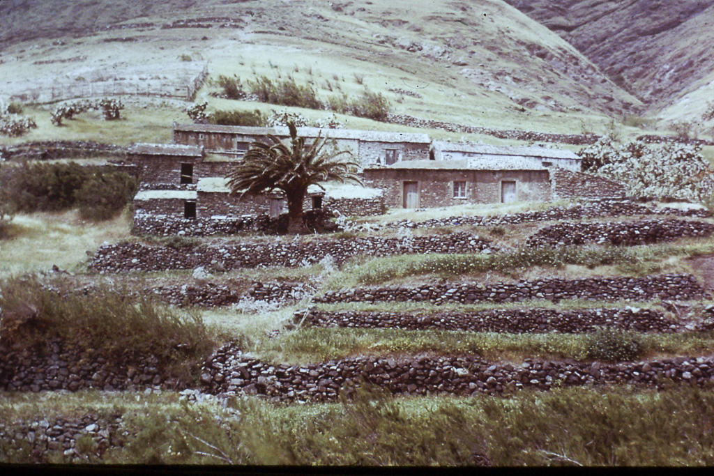 08. Serra de Dentro (Porto Santo)