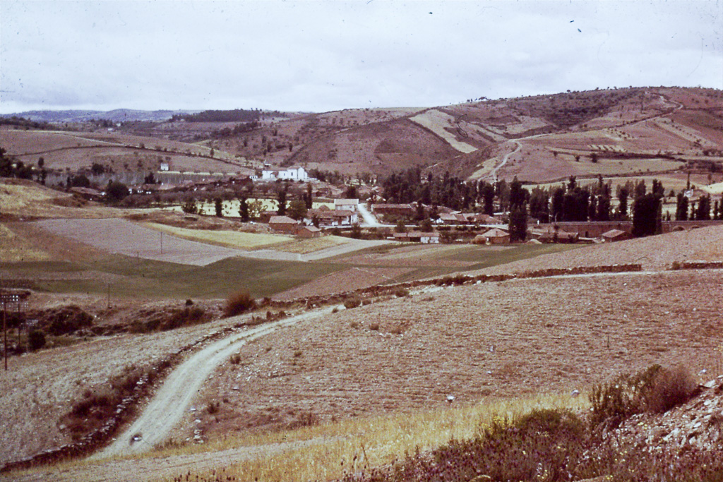 103. Trás-os-Montes Gimonde