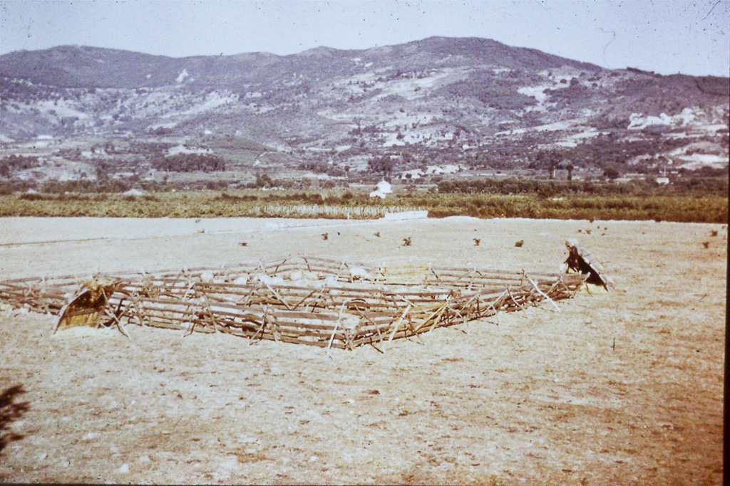 105. Beira Alta um bardo