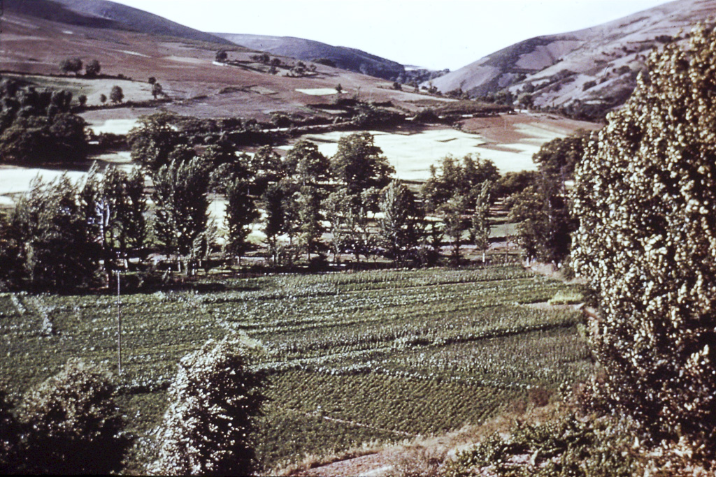 109. Trás-os-Montes veiga de França