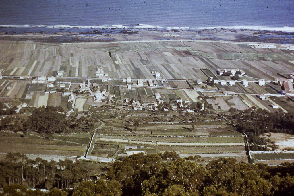 11. Minho viana do castelo