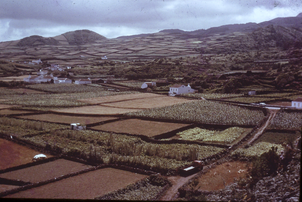 117. Serreta (Terceira)