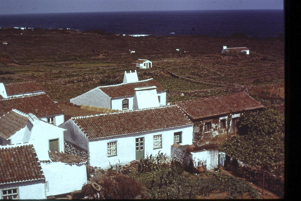 119. Ribeiras (Terceira)