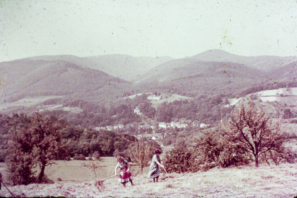 12 Un massif ancien Les Vosges