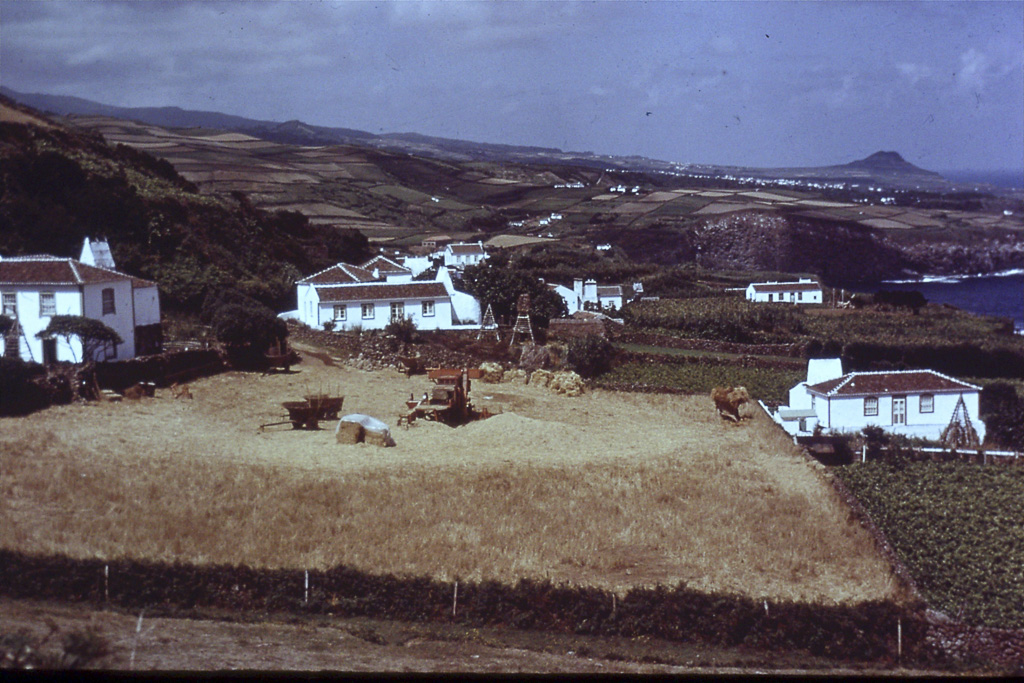 120. Eira de trigo (Terceira)