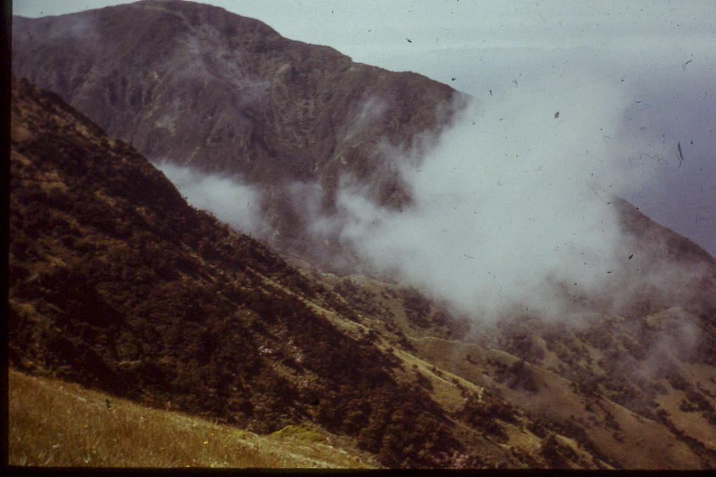 135. Ribeira dos Vimes (São Jorge)