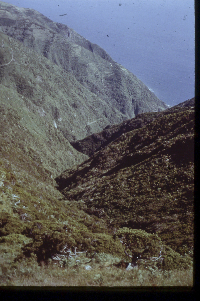 136. Pedras Brancas (São Jorge)