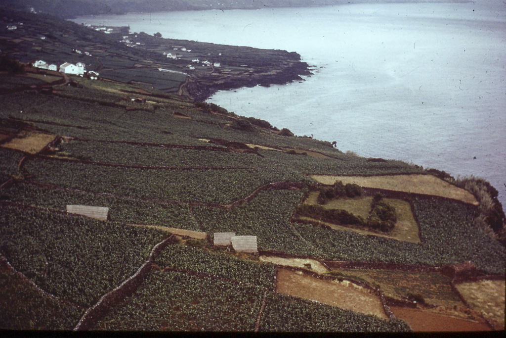 158.Costa Sul (Pico)