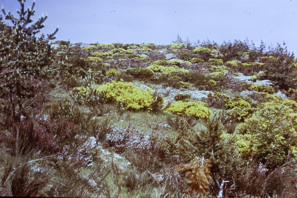 164. Serra da Estrela