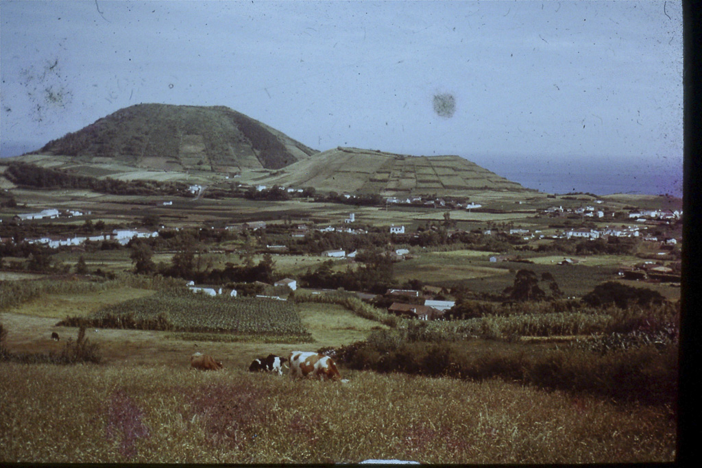 171. Campos e Pastagens (Faial)