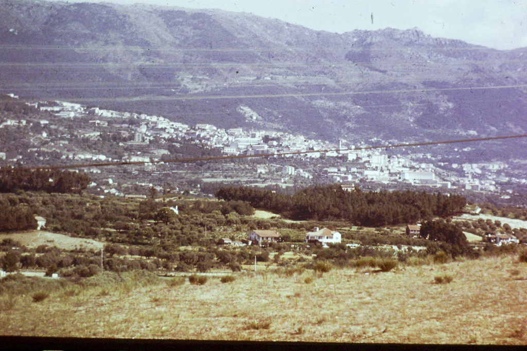 172. Tortozendo