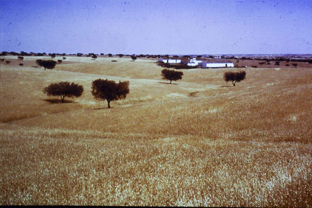 187. Baixo Alentejo monte perto de Mértola