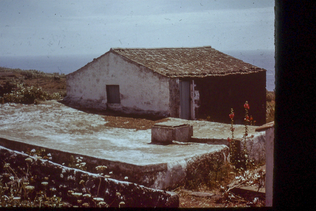 187. Capelo (Faial)