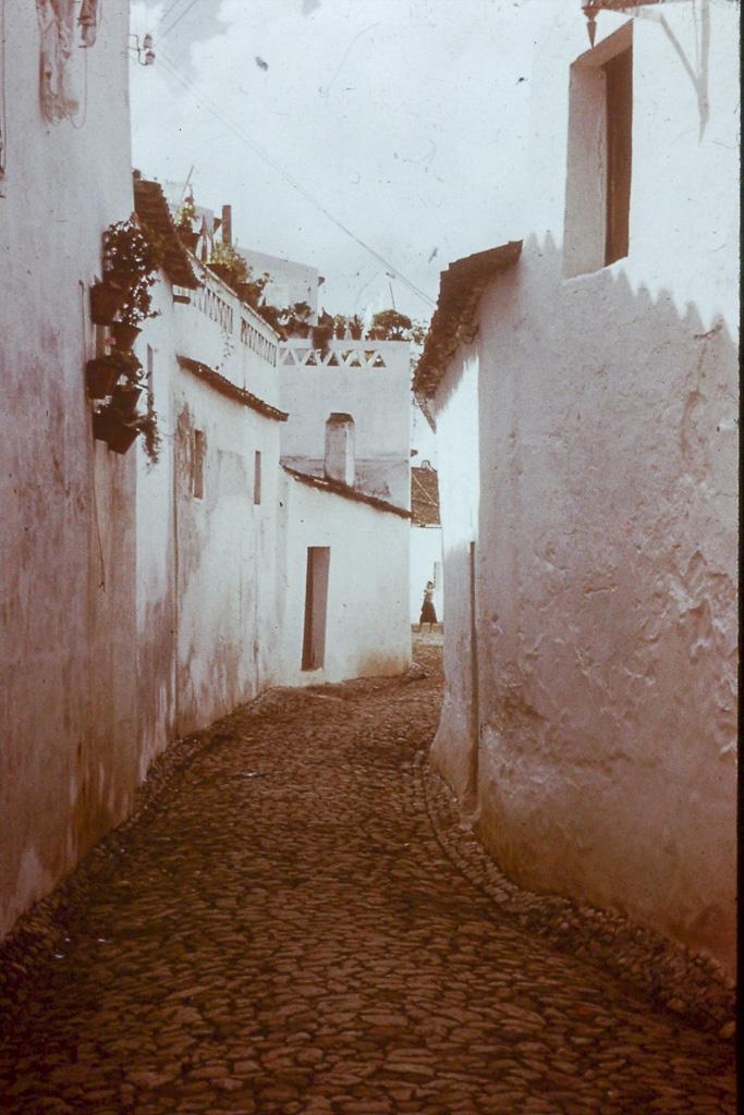 205. Baixo Alentejo Moura