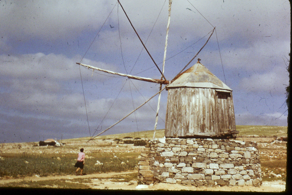 23. Moinho (Porto Santo)