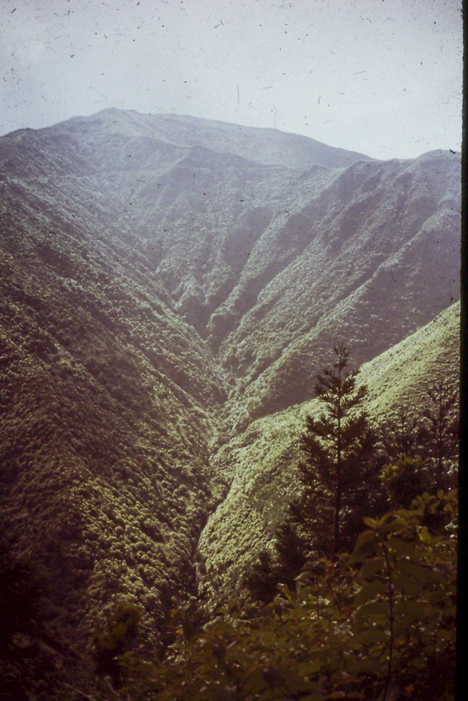 24. Vales da Tronqueira (São Miguel)