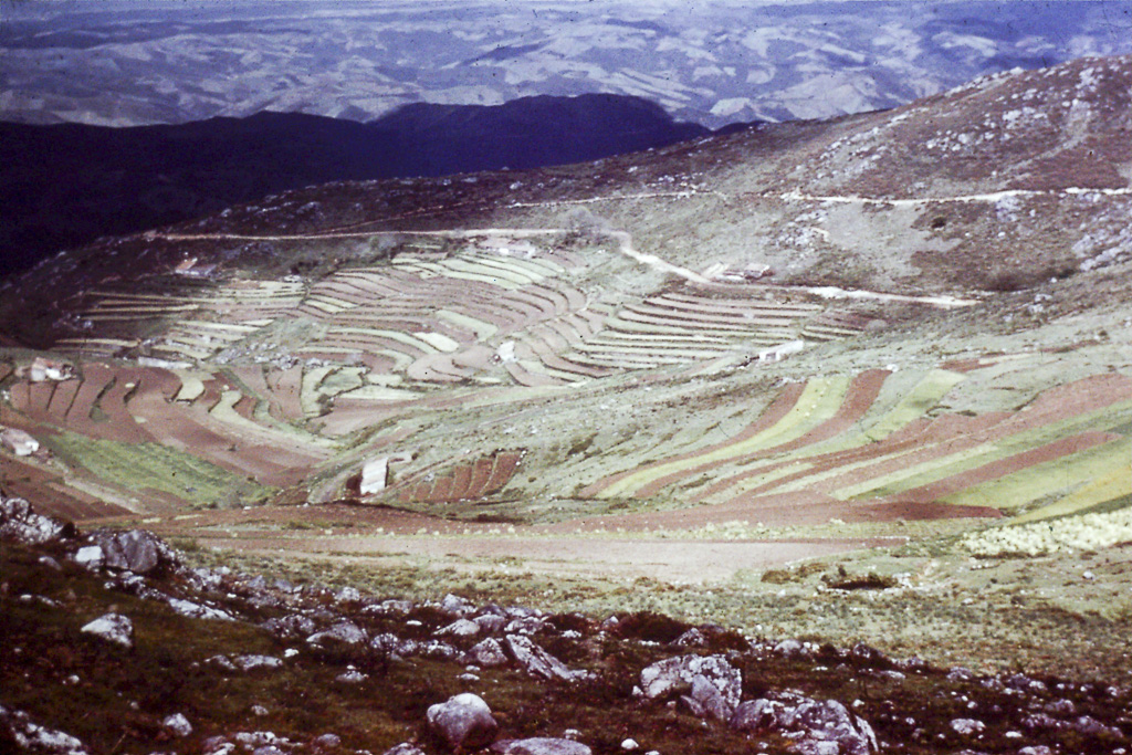 247. Serra de Monchique culturas