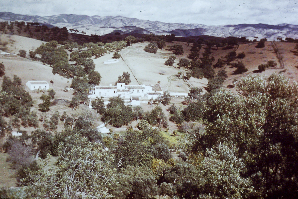 249. Serra do Algarve um monte