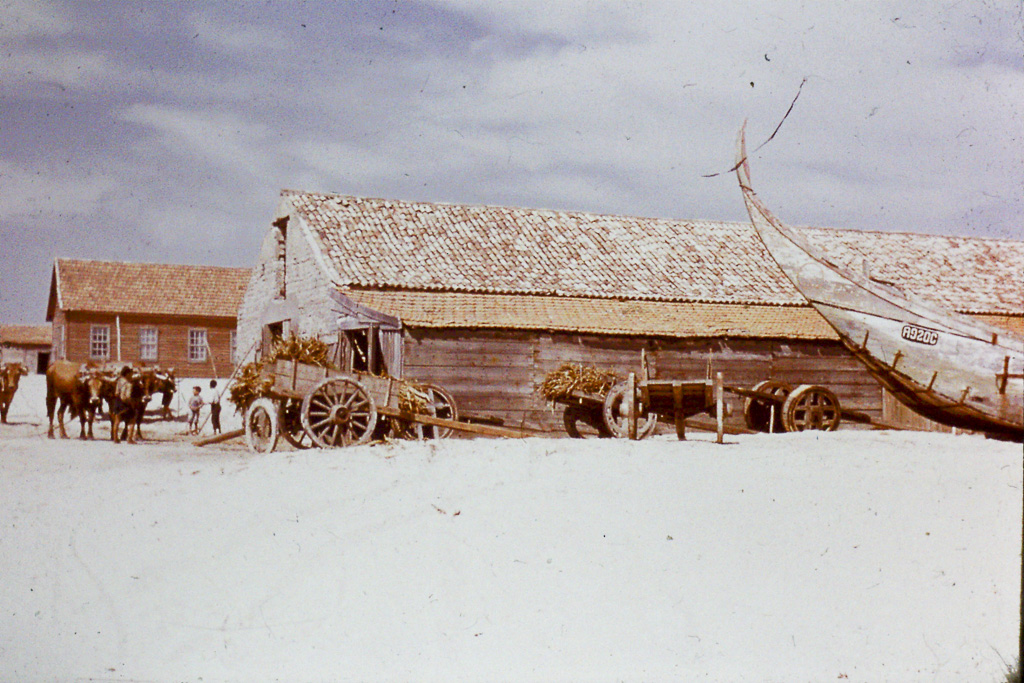 25. Beira Litoral Aveiro Praia da Vagueira