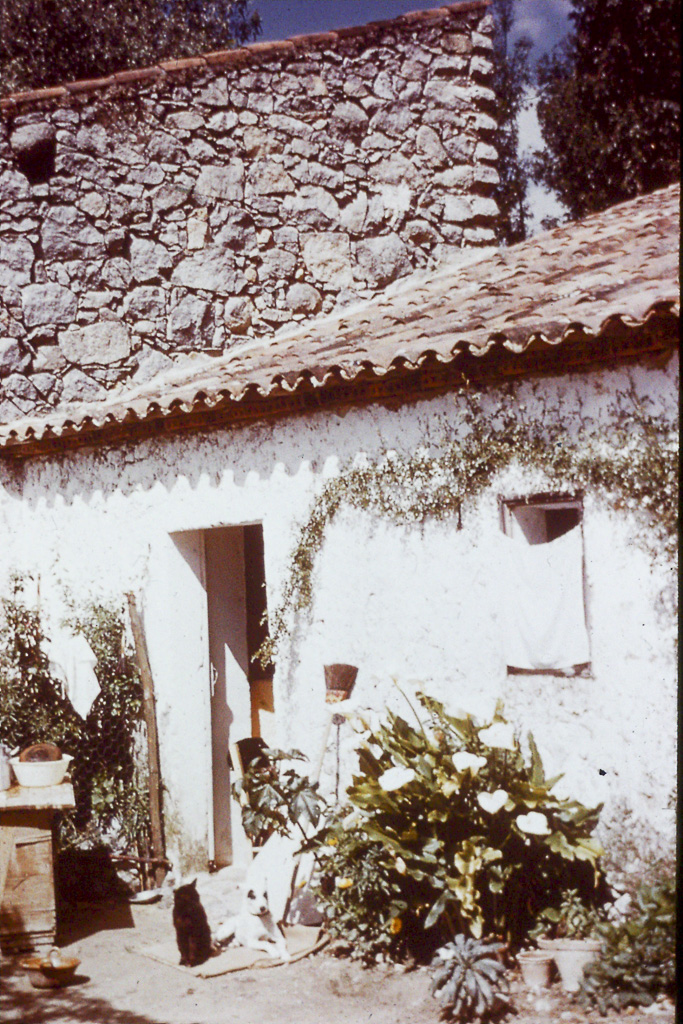 260. casas berberes na Serra de Monchique