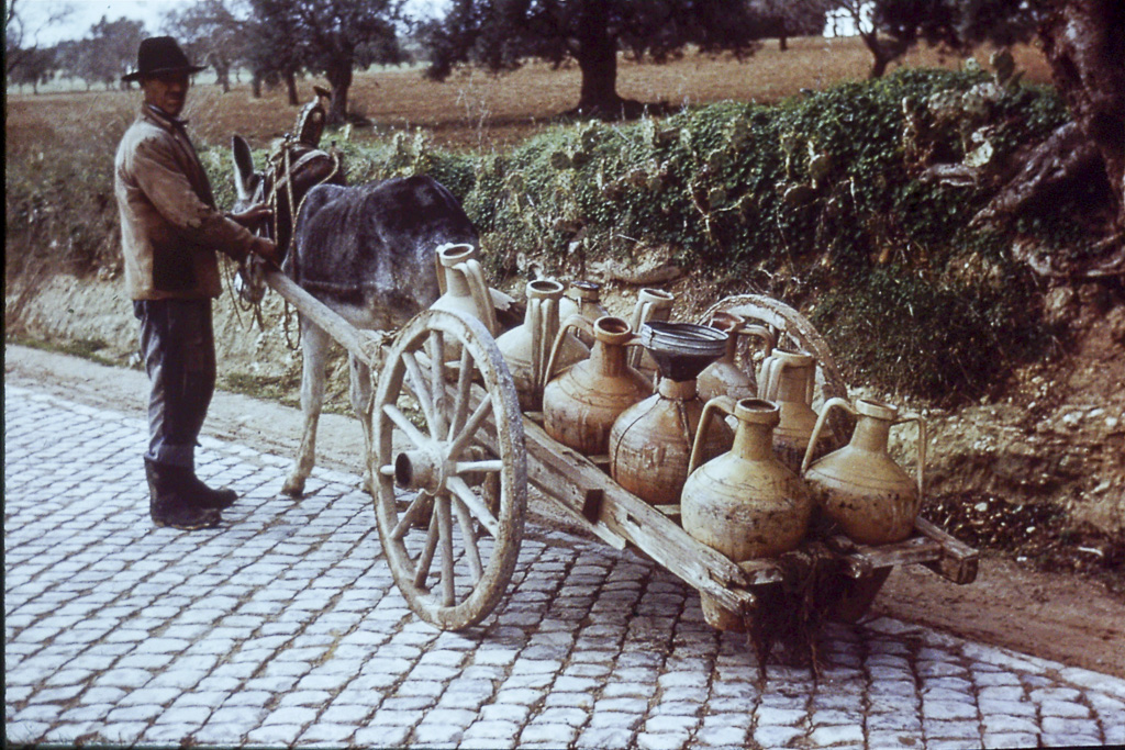 (RF 644) Portugal, a Terra e o Homem (Volume III Beira Baixa Alentejo Algarve)