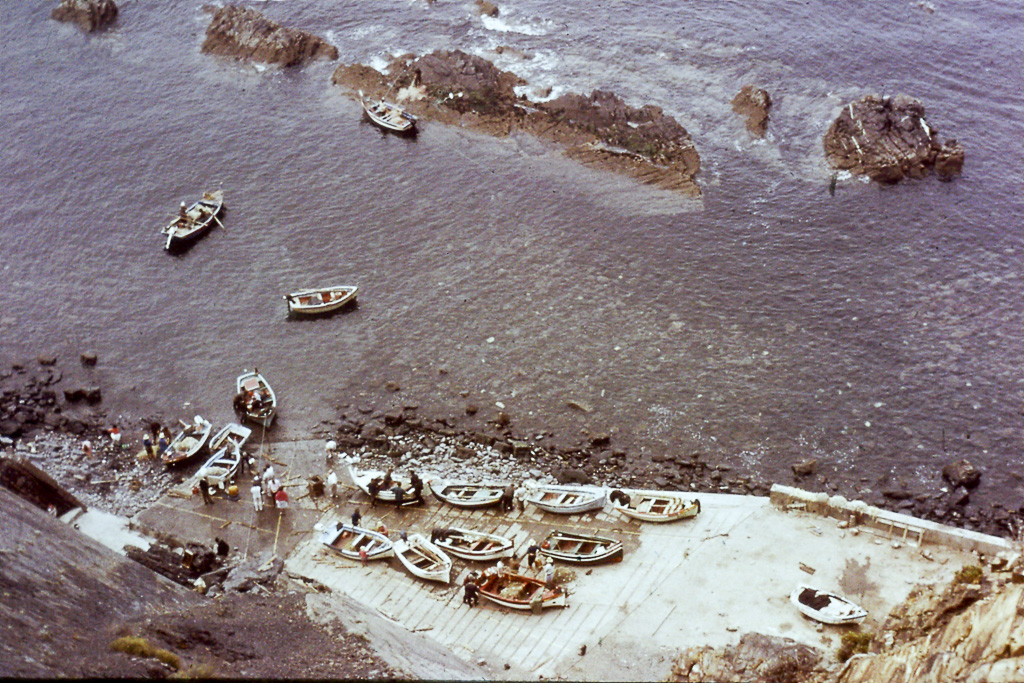 278. Arrifana porto de pesca