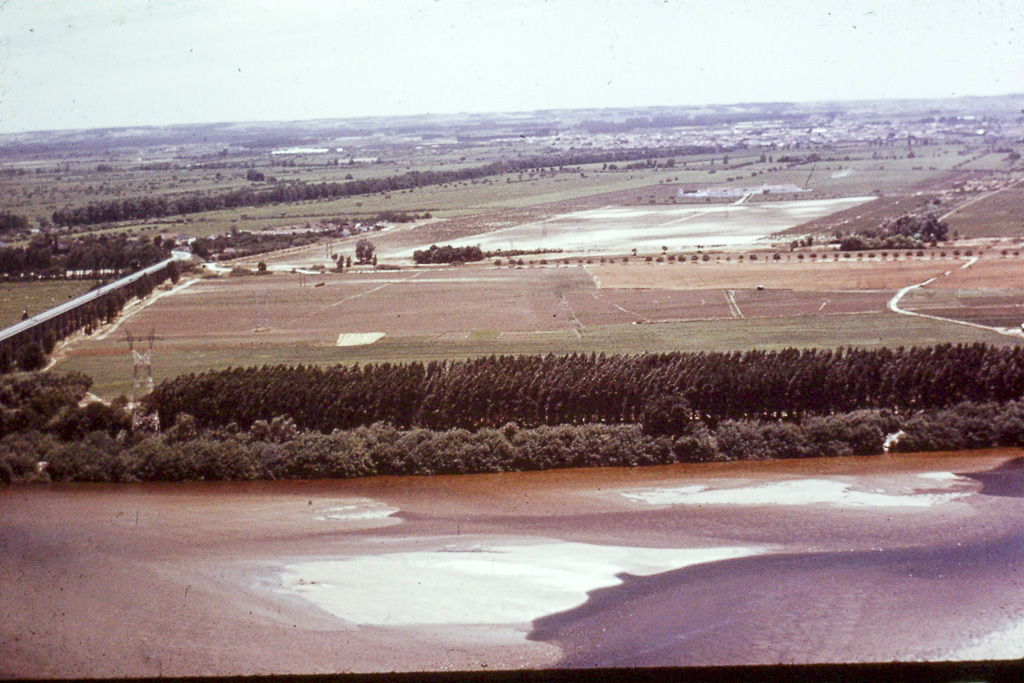 298. Várzea do Tejo em Santarém