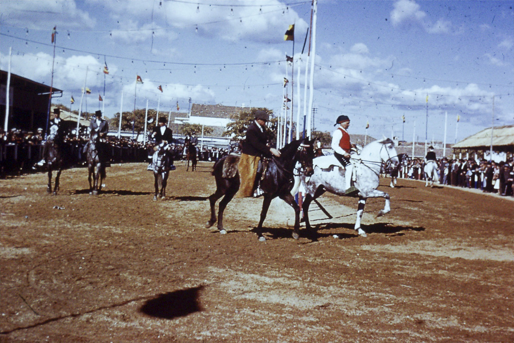 303. cavalos na feira anual