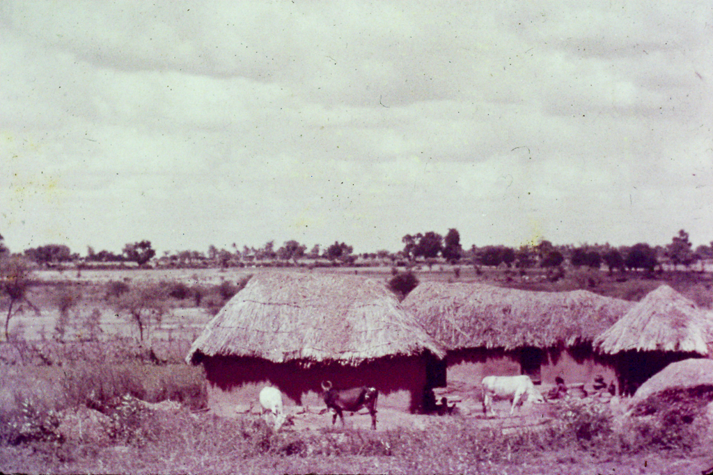 31 Habitation rurale dans l´Inde