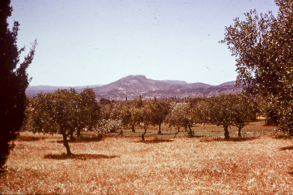 315. Maçico calcaréo