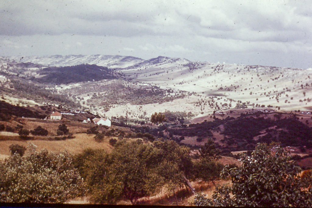 317. Serra da Arrábida