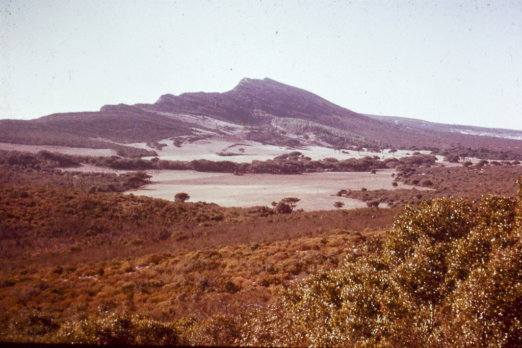 319. Arrábida Serra do Risco