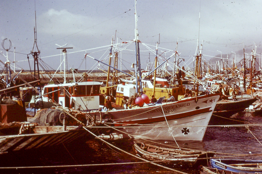 339. Setubel barcos de pesca