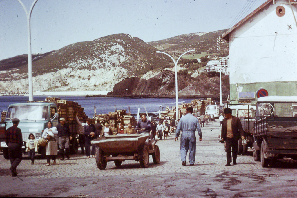 343. Sesimbra porto de pesca