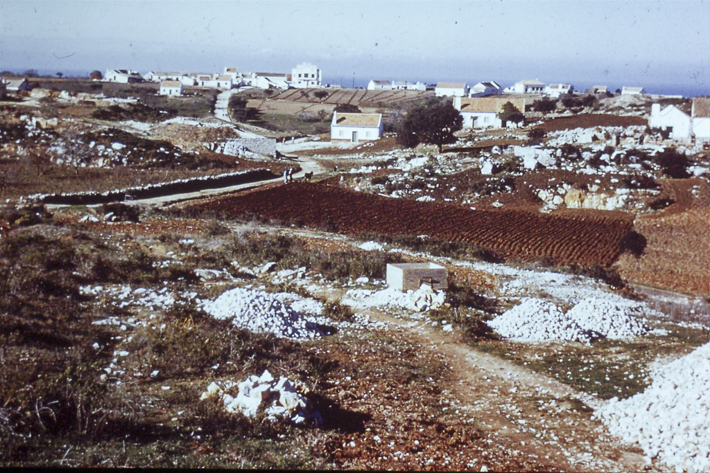 349. Serra da Arrábida pedreiras