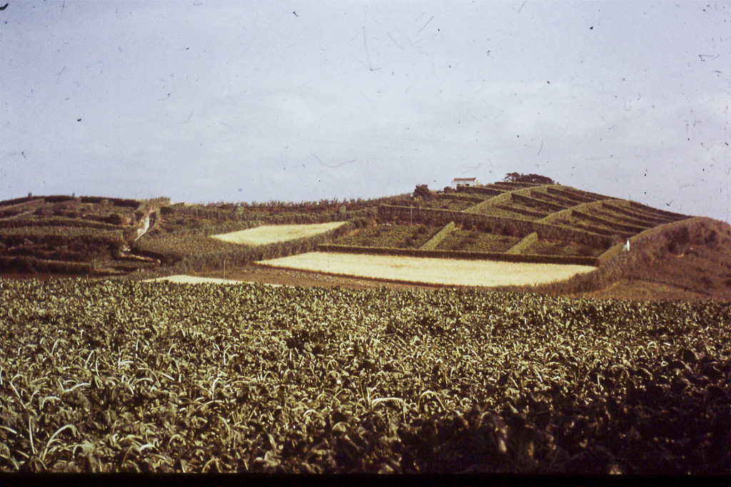 68. Quintas (São Miguel)