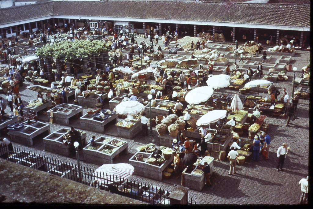 76. Ponta Delgada_mercado (São Miguel)