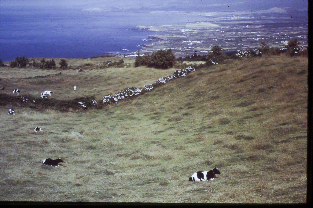 78. Maranhão_pastagens (São Miguel)