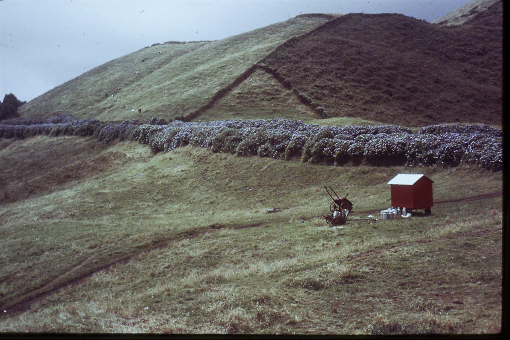 81. Pastagens (São Miguel)