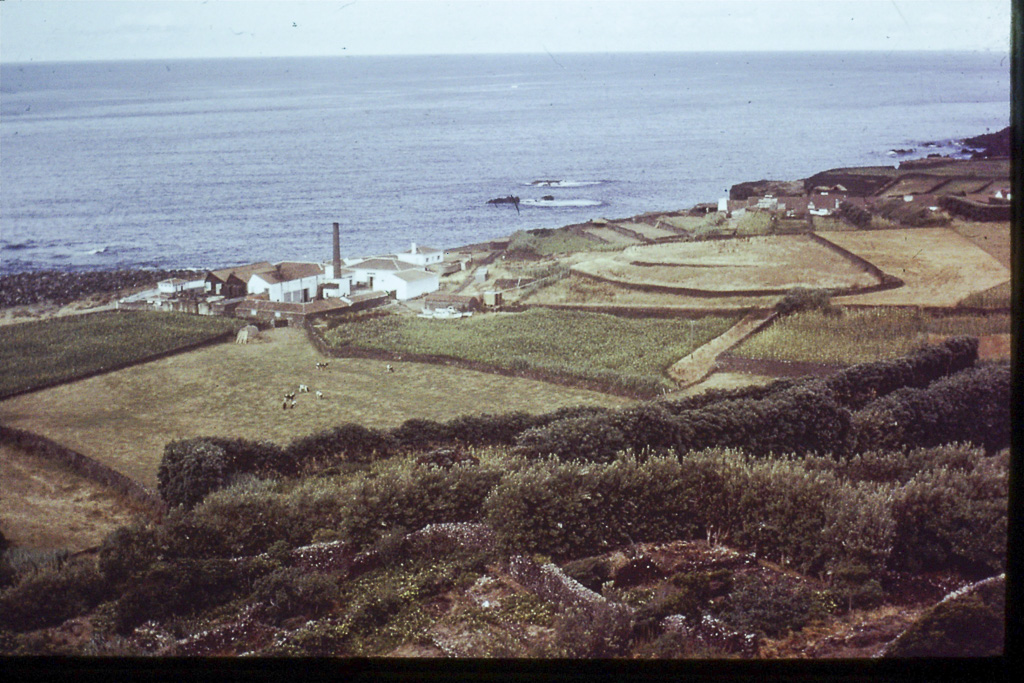 88. Fábrica de óleo de baleia (São Miguel)